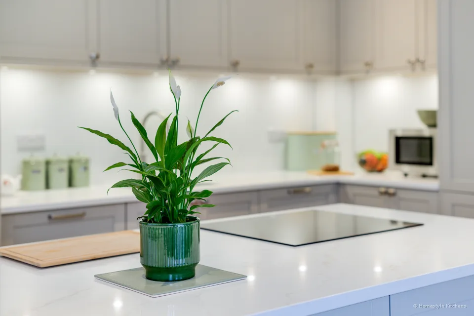 Butler Kitchen #7