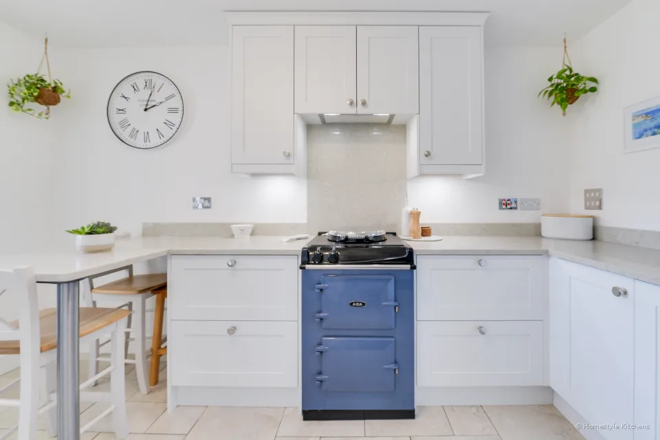 Jenkins Kitchen #20
