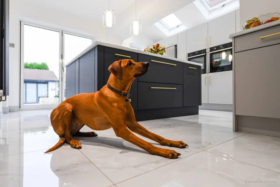 Sullivan Kitchen #11
